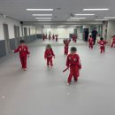 용인대 효 도장 이미지