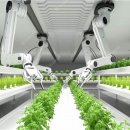 지상농장 이미지