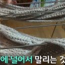 한세탁 이미지