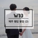사월애꽃 이미지