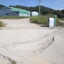 (주)홍가인