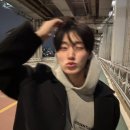 영천영화육회 이미지