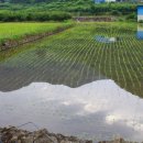 산울농원 이미지