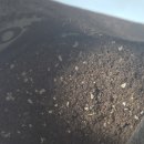 주식회사 더케이 | 닥터조 프리미엄 분갈이 흙 &amp; 코팅 식물영양제 닥터조 알비료케이