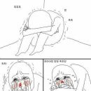 설램 이미지