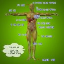 과학이야기1 이미지