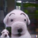 필연 | 우연같은 필연으로 또 만나 우리 [비아이 콘서트 후기]