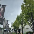 야탑테니스장 이미지