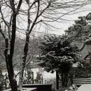 원도요양병원