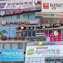 윤선생IGSE홍성학원