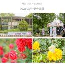 주엽역 2,3번출입구 주변 | 고양 꽃박람회 2026 입장료 주차장 셔틀버스 일산 호수공원 데이트 가볼만한곳