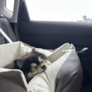 레인바우 이미지