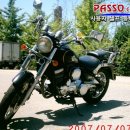 데이스타 이미지