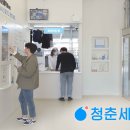 친환경세탁 이미지