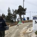 언덕마루펜션 이미지