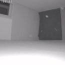 파자마독 이미지