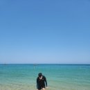 동해세탁소 - 태백시 황지로 293-1 | 동해세탁소