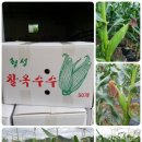 박용수농장 이미지