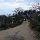돌담한길 | 돌담한길 제주 서귀포 펜션 : 한적한 제주도의 하루를 살아볼 수 있는 고즈넉한 장소 -