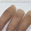 우림교역 이미지