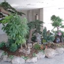 메가마트옆길 이미지