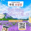 고흥시장A 이미지