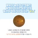 ◇ 당뇨 실명위험 '안전검사' 받으세요 ◇|작성자 박물관 이미지