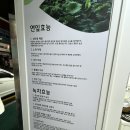 [전북 남원] 웰빙녹차연잎 왕만두 내돈내산 후기♪(๑ᴖ◡ᴖ๑)♪