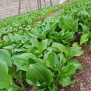 소을농장 이미지