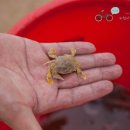 비치스토리 이미지