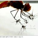 히어로PC방 이미지