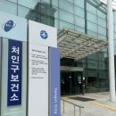 처인구 보건소 | 용인 처인구 보건소 임신출산 프로그램 플라워태교교실