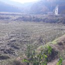 파주비젼부동산공인중개사사무소 이미지