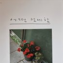 어떤 섬세함 - 이석원 에세이 이미지