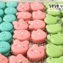 마카롱언니 이미지