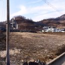 제천덕산초등학교 이미지