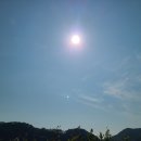 닭장안의 닭들을 모두 잡았다. 이미지