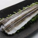 바다장어 이미지