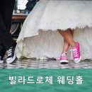 빌라드로체