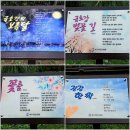 대구선아양공원2 | 대구 동촌 둘레길① 대구선 옛길