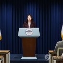 대미 이미지