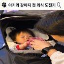 아기강아지 | 하남 미사 돗 고깃집에서 아기와 강아지 첫 외식 후기