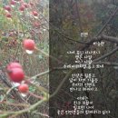 땅과사람이야기 이미지