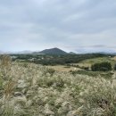 새별오름 이미지