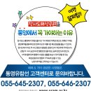 거제 & 장사도 여행 일정표 이미지