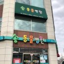 송동물병원 이미지