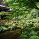 (주)선 소프트 | 2025년 12월 간사이 여행 후기