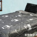 코코하우스