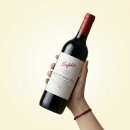 국보할인마트 | 리뷰 #11] 이마트 가성비 대장, 호주 국보급 와인 '펜폴즈 쿠눙가 힐 쉬라즈 까베르네' 내돈내산 솔직후기