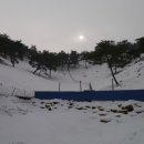 쑥스러운염소 네이버블로그